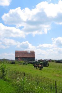 Arkansas farmland